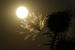 Hoe laat je jezelf schitteren?