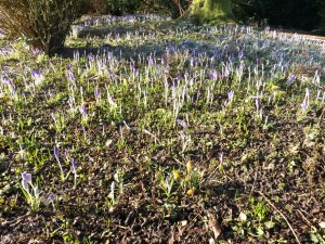 Stappen voor vooruitgang