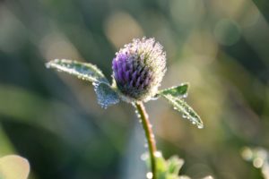 Over de kracht van vragen stellen