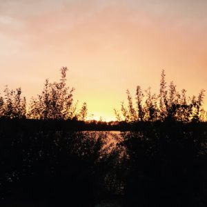 Foto 25-09-16 19 27 03
