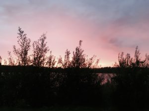 Foto 25-09-16 19 27 10