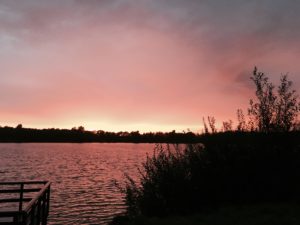 Foto 25-09-16 19 27 18