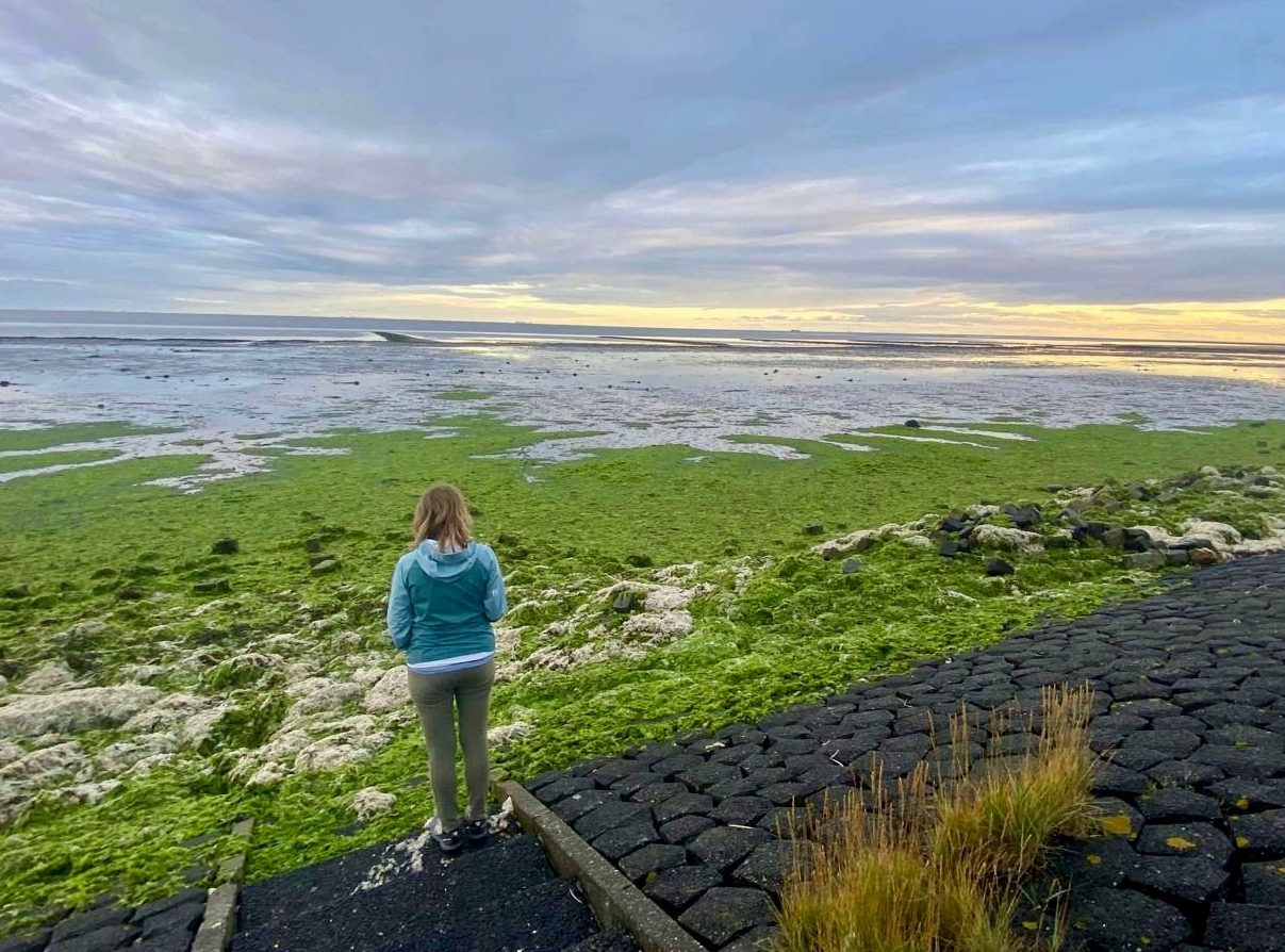 Terschelling dijk Wad Anita Boes