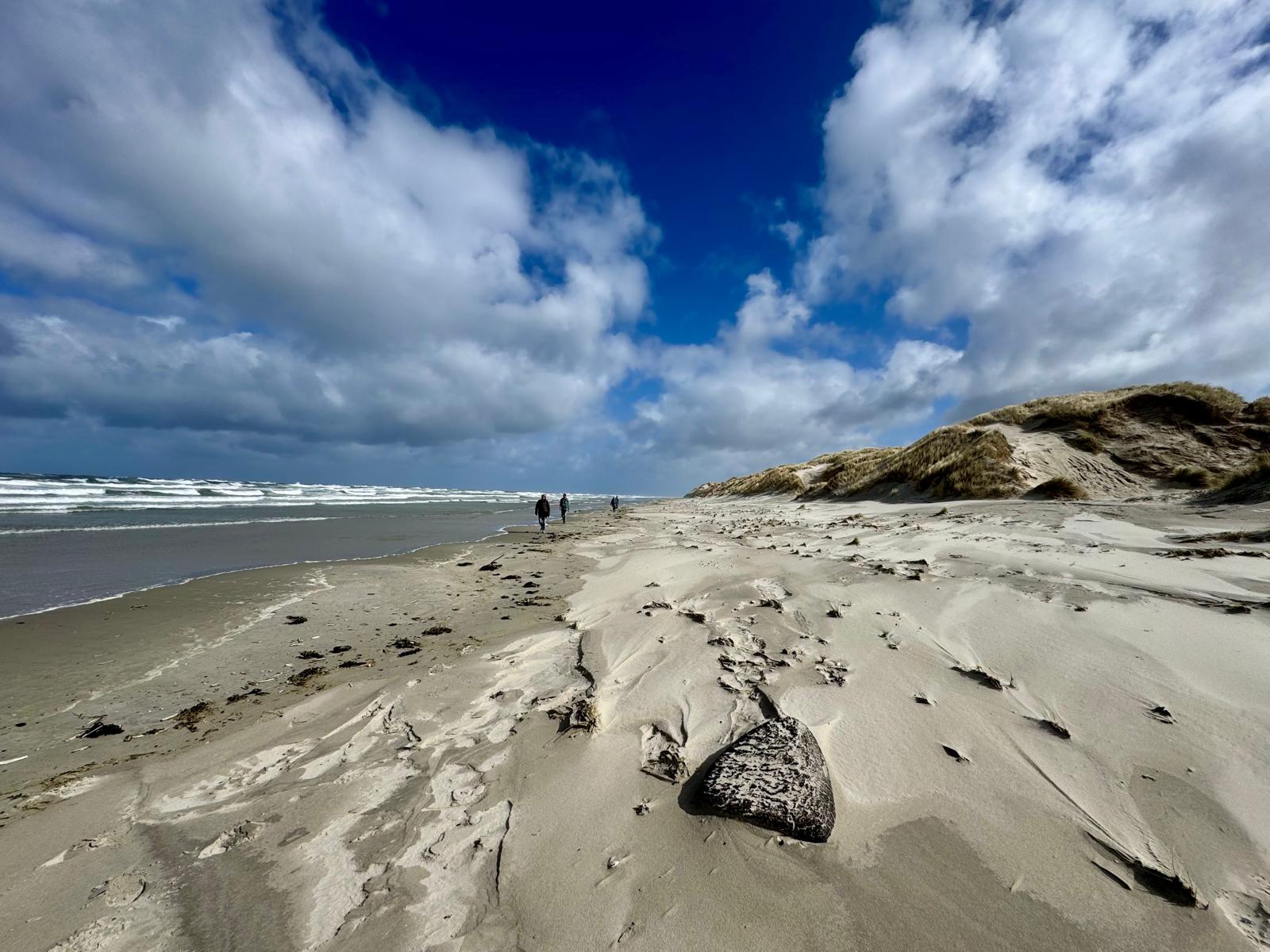 Noordzeestrand Terschelling Walk of Grief Anita Boes